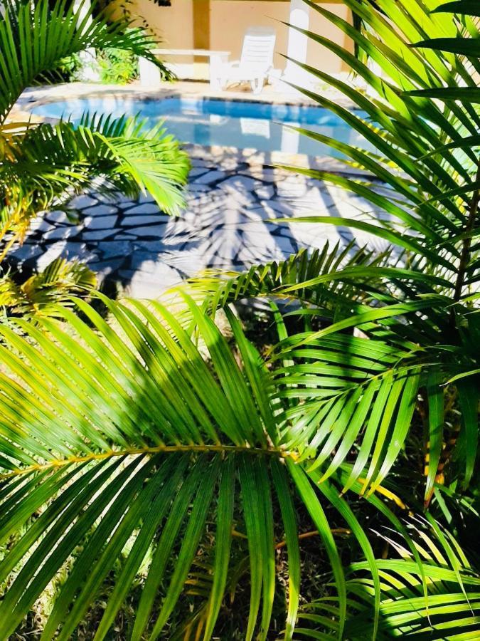 Oasis Tropical Lejlighedshotel Pereybere Beach Eksteriør billede